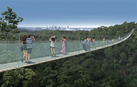 Brisbane council approves Australia's longest zipline.